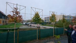 Beplanting in de herfst