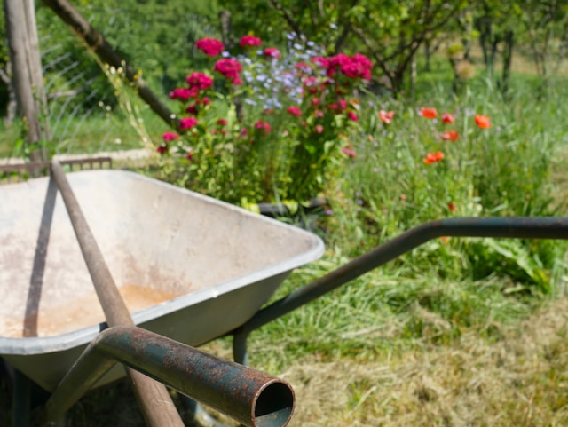 Groot tuinonderhoud